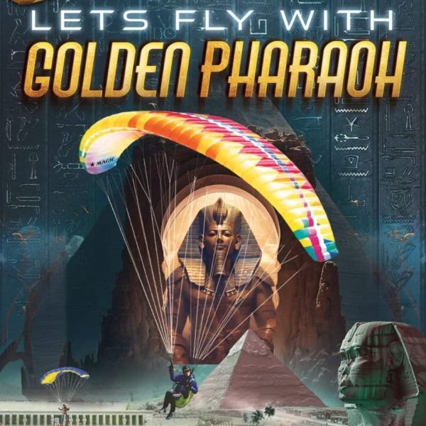 WhatsApp Image 2025-10-13 at 1.42.35 PM